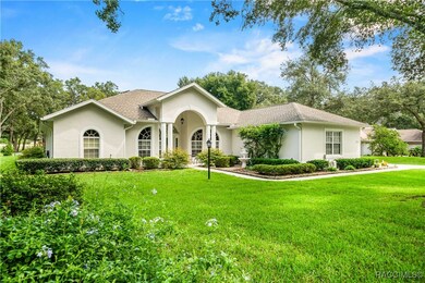 171 E Joplin Ct, Hernando, FL 34442 - photo 3