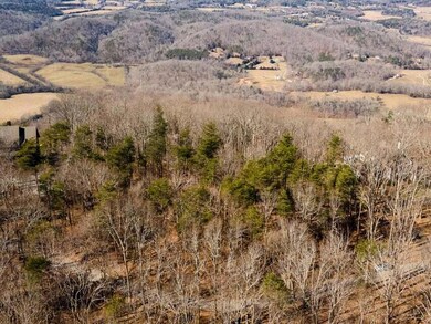 Lookout-38