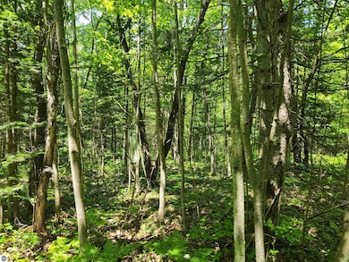 2867 Folks Rd NE, Kalkaska Township, MI 49646 - photo 5