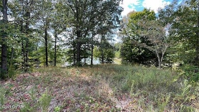 00 Graves Ln, Trenton, TN 38382 - photo 3