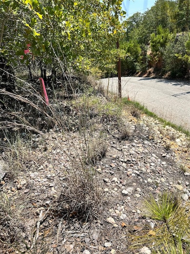 unlisted-address, Bastrop, TX 78602 - photo 4