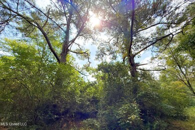 8405 Wire Rd, Ocean Springs, MS 39565 - photo 2