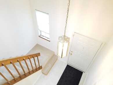 2 Story Foyer