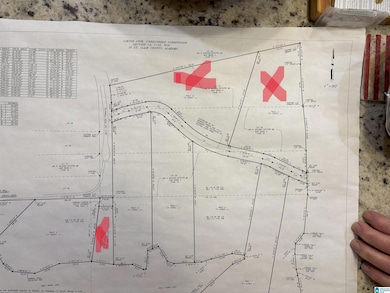 0 Gibson Cove Dr unit 7.10 Acres Plus . 58, Ashville, AL 35953 - photo 2