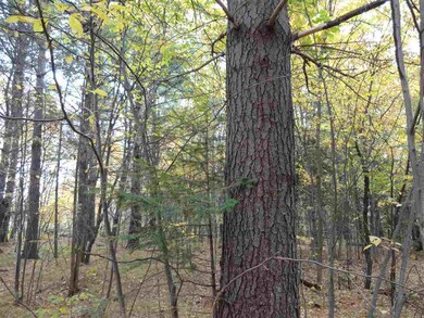 On State Highway 86, Tomahawk, WI 54487 - photo 4