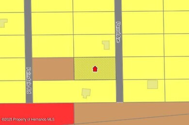 LOT 9 Parrot Rd, Weeki Wachee, FL 34614 - photo 2