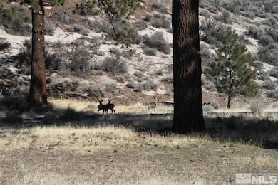 5000 W Hwy 50, Carson City, NV 89703 - photo 3