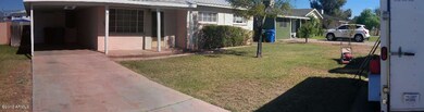 Brown bushes removed