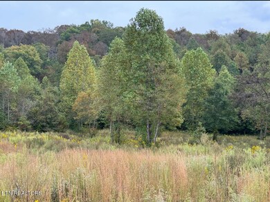 351 White Plains Rd, Vonore, TN 37885 - photo 4