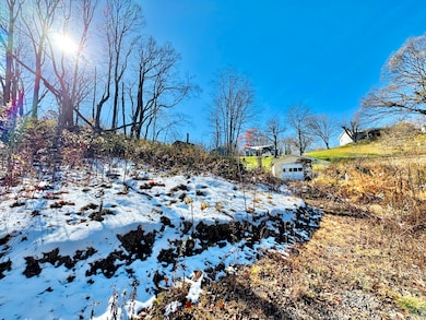 33 Grace St, Fayetteville, WV 25840 - photo 2