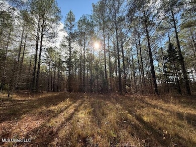 0 Beck Spring, Ashland, MS 38610 - photo 5