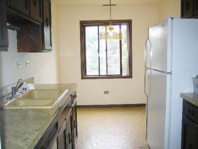 1525 E Thacker St unit 3C, Des Plaines, IL 60016 - photo 4