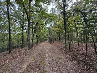 0 S Rhodes Cr 1022 Dr, Eureka Springs, AR 72632 - photo 6