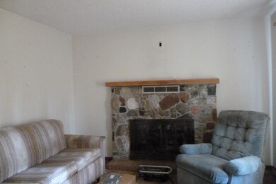 11729 Thompson Rd Rudyard 004