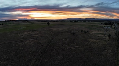 105 S Place, Norwood, CO 81423 - photo 5