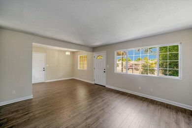 Large Windows