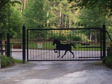 Saddle Ridge Gate