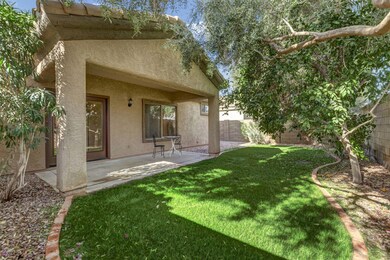 Backyard Patio
