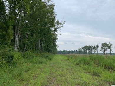 65 acres Sims Reach Rd unit Williamsburg County, Kingstree, SC 29556 - photo 4