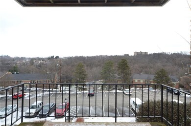 1040 Eve Dr unit D, Pittsburgh, PA 15216 - photo 3