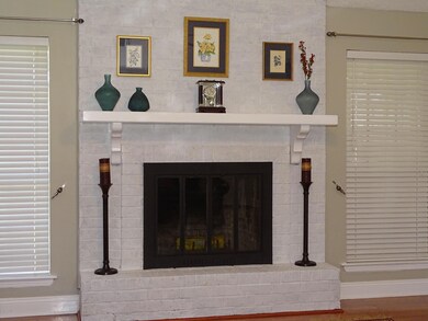 LR Fireplace
