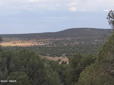 9974 Appaloosa Trail, Show Low, AZ 85901 - photo 3