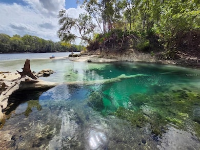 164 SE Pelican Rd, Branford, FL 32008 - photo 3