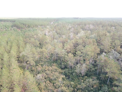 Gore Store Rd, Kountze, TX 77625 - photo 3