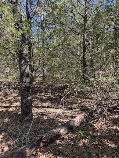 Lot 195 Kaelepulu Dr, Bastrop, TX 78602 - photo 5