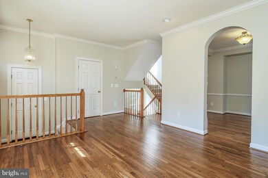 46562 River Meadows Terrace, Sterling, VA 20165 - photo 7