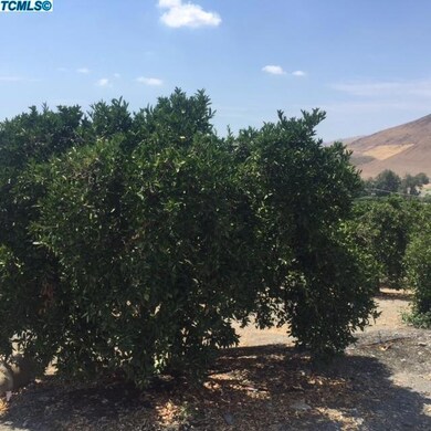 28810 Avenue 140, Porterville, CA 93257 - photo 3