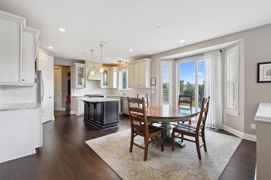 4106 San Vitero Ln, Chaska, MN 55318 - photo 5