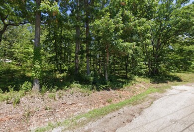 0 Apache Dr, Irondale, MO 63648 - photo 4