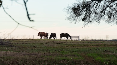 TBD Pop Noah Rd, Collinsville, TX 76233 - photo 7
