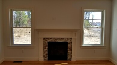 Great Room Fireplace
