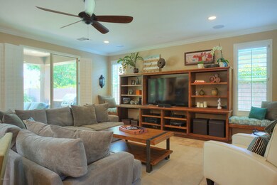 2470EBlueSpruce006