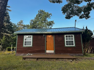 3743 N Peacock Trail, Irons, MI 49644 - photo 3