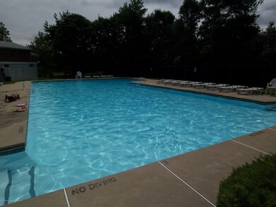 Pool The Orchards