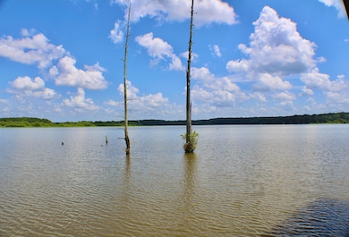 20024 Walnut Main St, Aberdeen, MS 39730 - photo 7