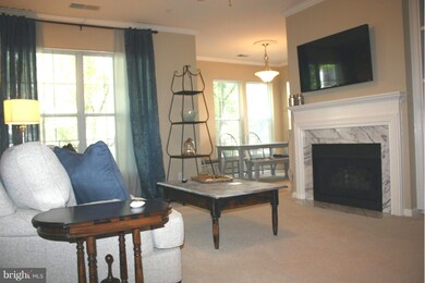 46590 Drysdale Terrace unit 203, Sterling, VA 20165 - photo 6