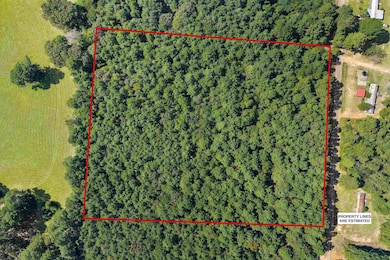 6.4 acres, TBD Narcissus Rd, Ore City, TX 75683 - photo 5