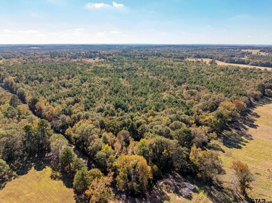 Lot 2 Creek Bend Trail, Troup, TX 75789 - photo 7