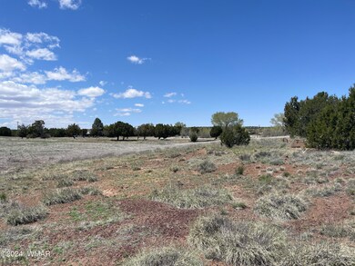 18 Pate Ln, Concho, AZ 85924 - photo 5