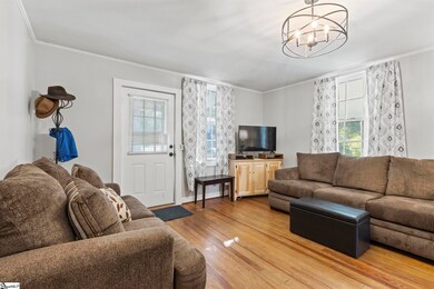 209 Webster St, Slater-Marietta, SC 29683 - photo 3