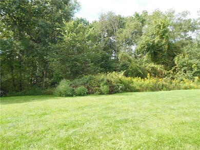 Yard/Garden.