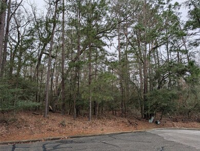 Lakeview beyond trees! Build your dream home & see
