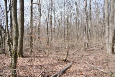 530 Tall Oak Ln, Lewisburg, PA 17837 - photo 2