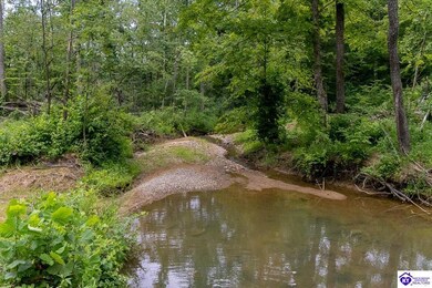 Tract 14 Cook Ln, Cromwell, KY 42333 - photo 6