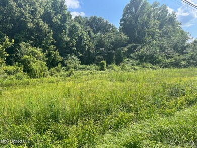 580 S Highway 61, Natchez, MS 39120 - photo 4