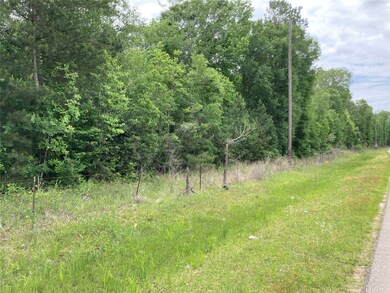 00 County Road 381, Cleveland, TX 77328 - photo 4